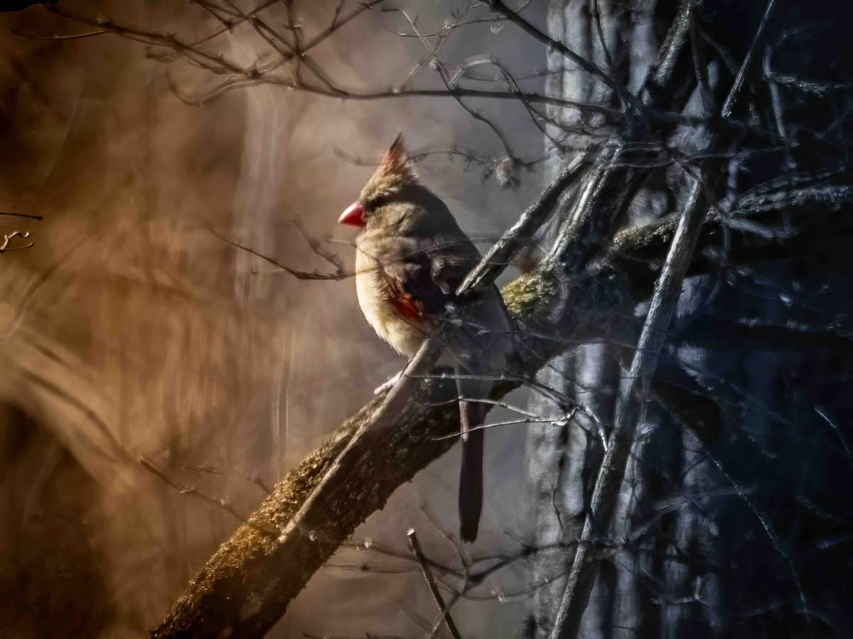 Recently at the Park