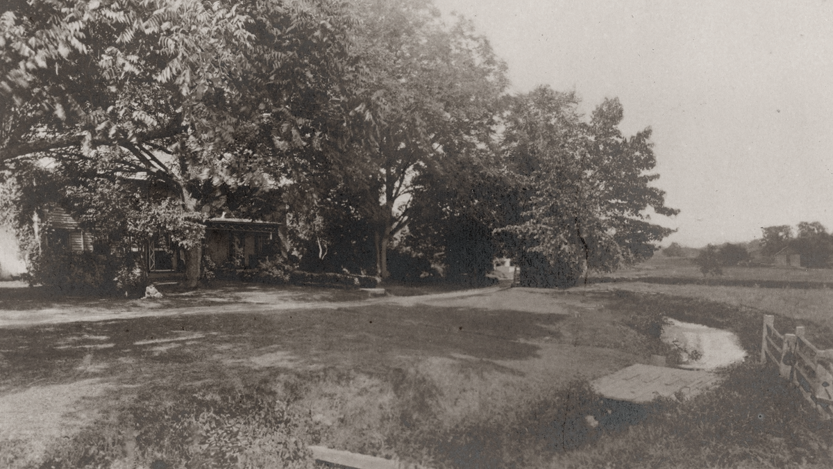 Bloomfield Memories and Records