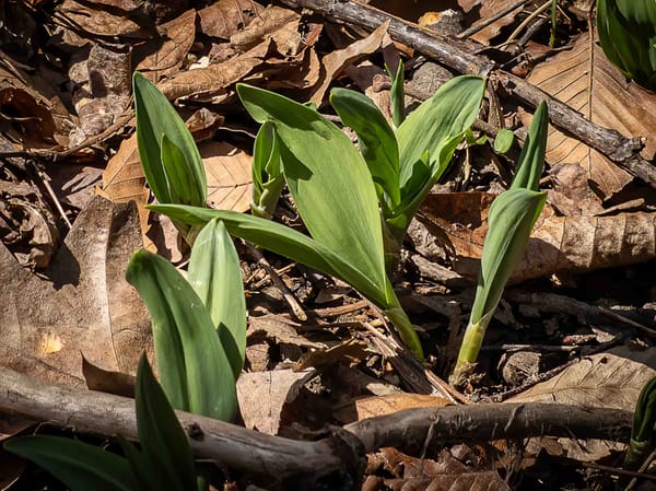 Signs of things to come