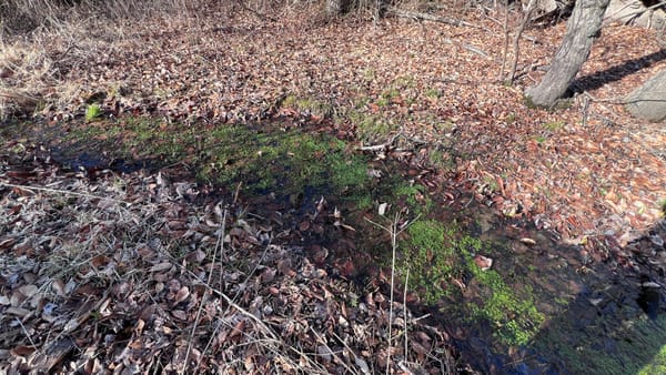 Droughts and Springs